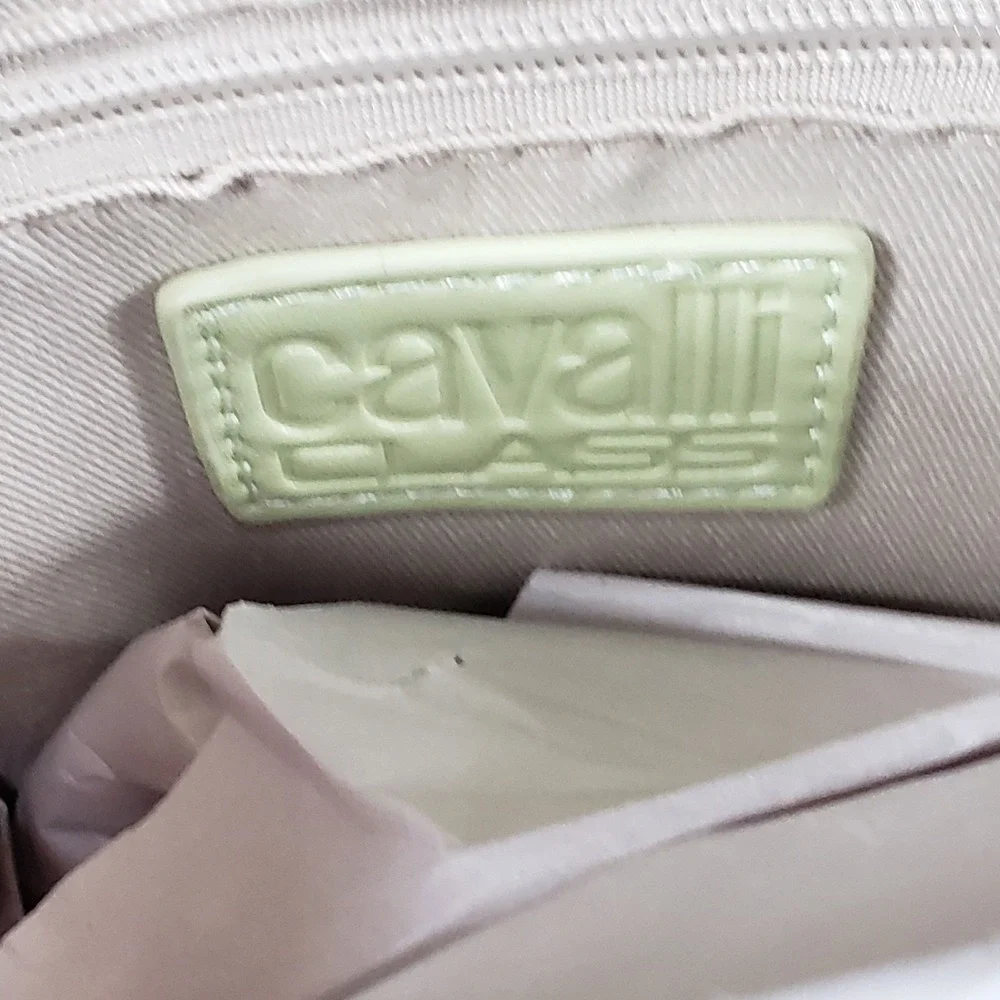 Cavalli Class cavalli class
